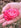Descry Creations, llc - Home